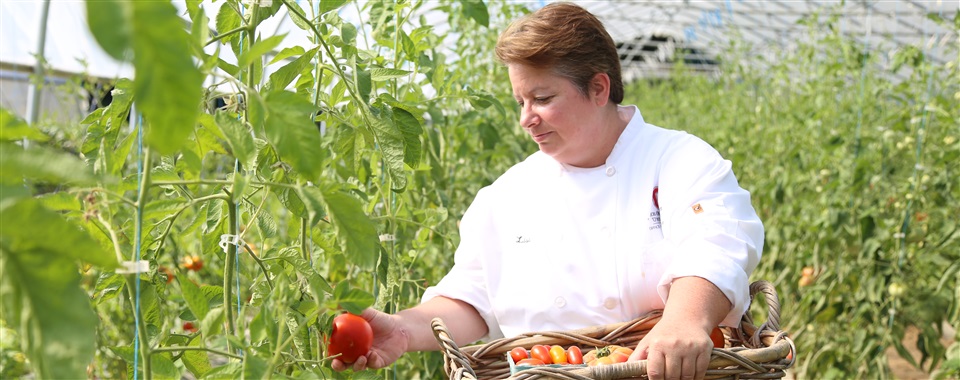 Local Vegetables