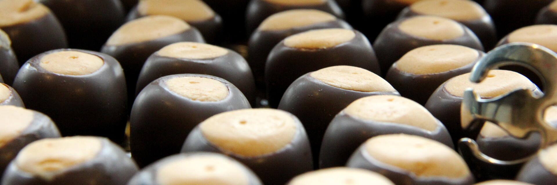 Chocolate and peanut butter buckeyes from catering